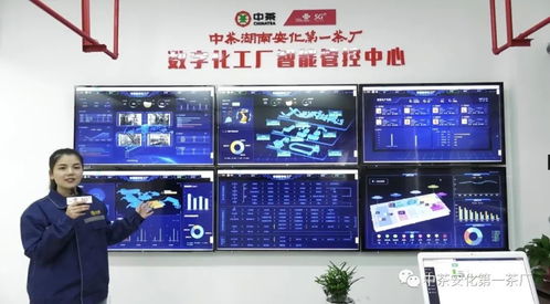 中茶安化数字化工厂闪耀湖南产业集群工业互联网峰会，发布数字广告引领未来